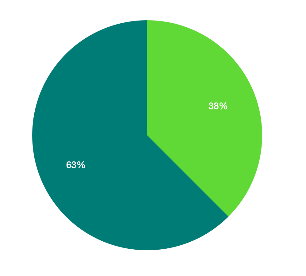 This pie chart shows that I read 63% of books by white authors and 38% of books from BIPOC authors.